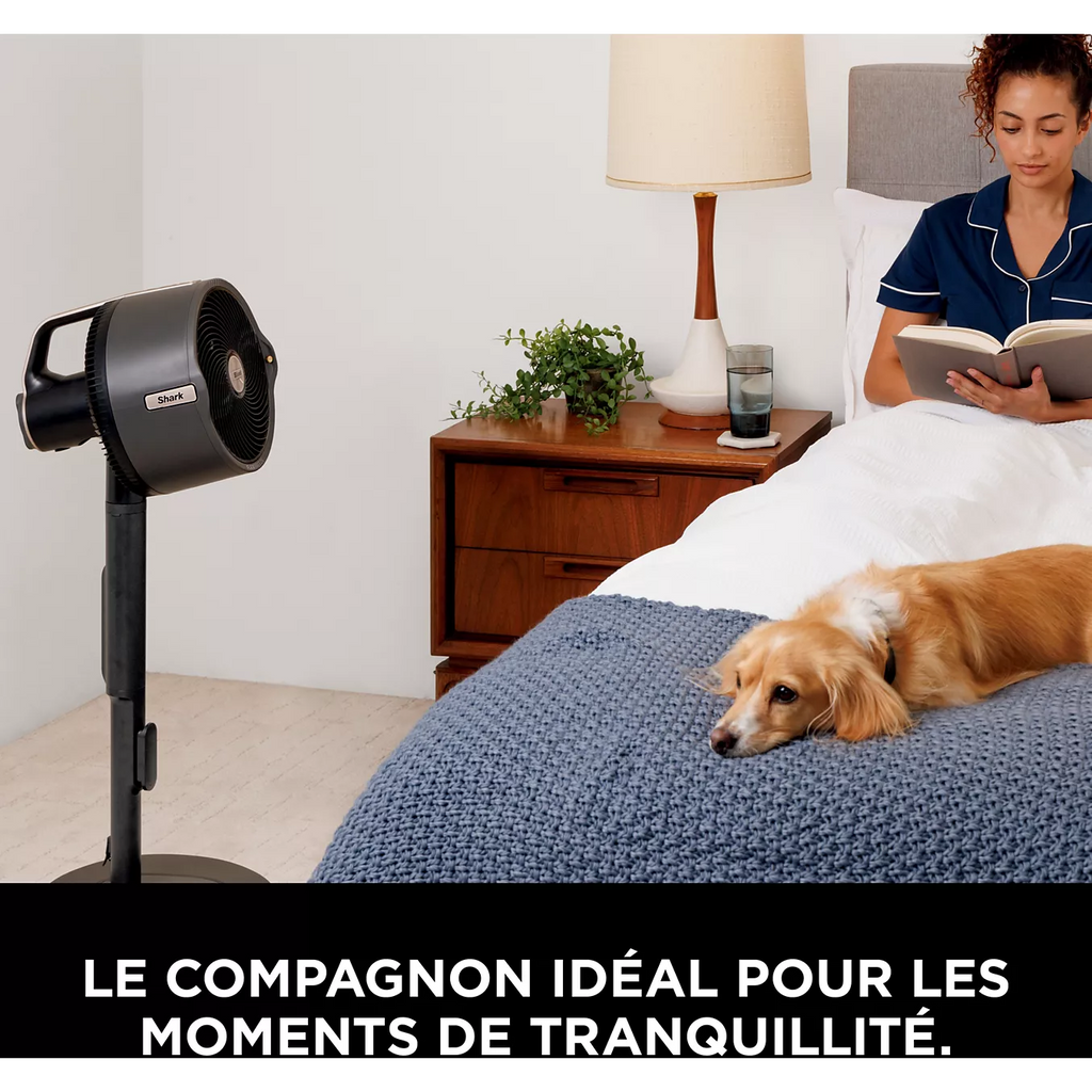 Rafraîchisseur d'air SHARK FlexBreeze ProMist FA300EU