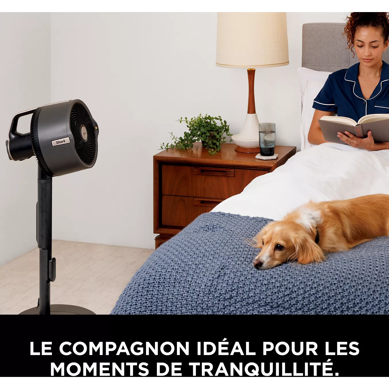 Rafraîchisseur d'air SHARK FlexBreeze ProMist FA300EU