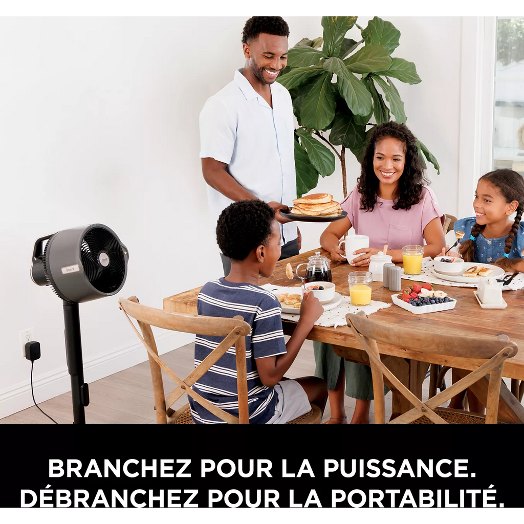 Rafraîchisseur d'air SHARK FlexBreeze ProMist FA300EU