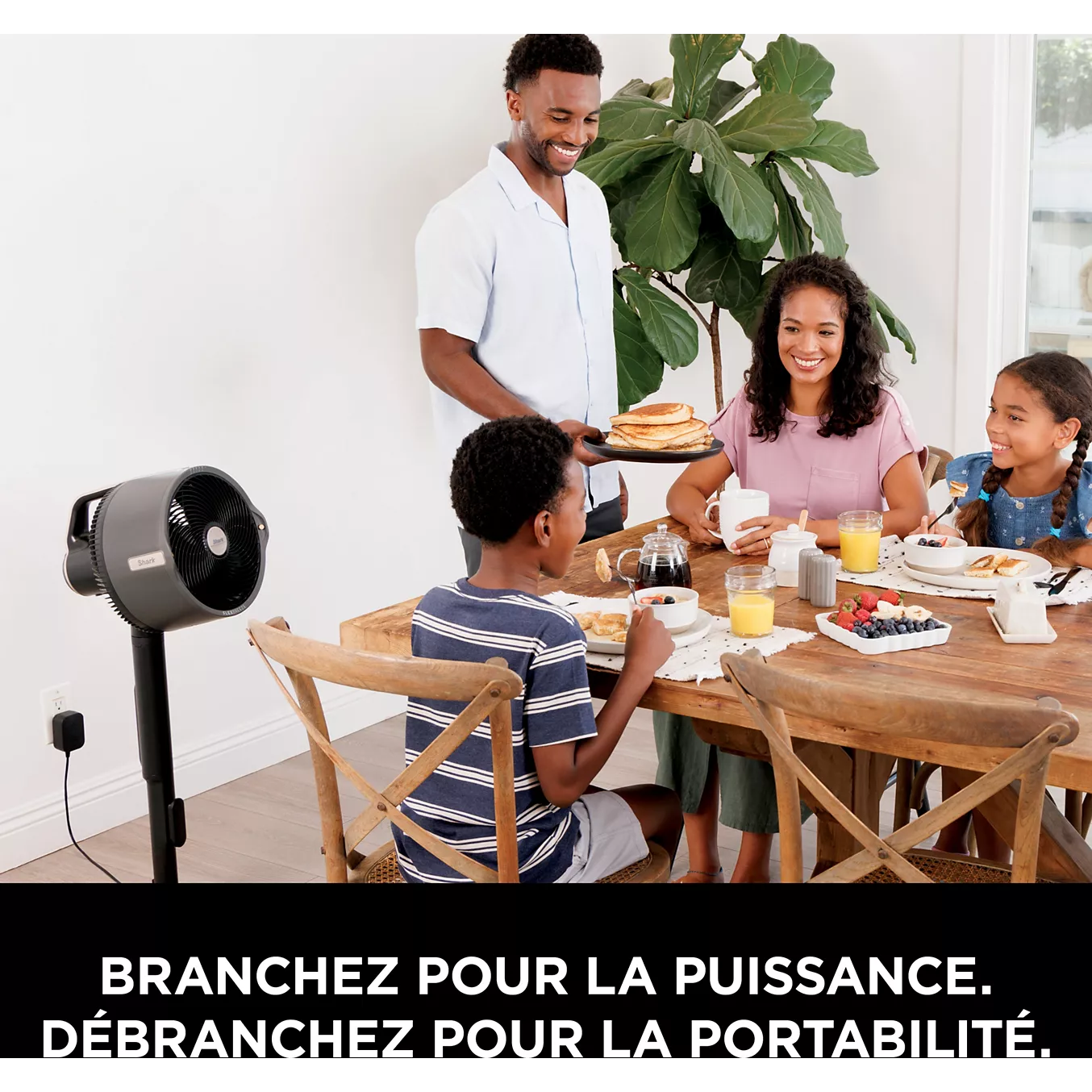 Rafraîchisseur d'air SHARK FlexBreeze ProMist FA300EU